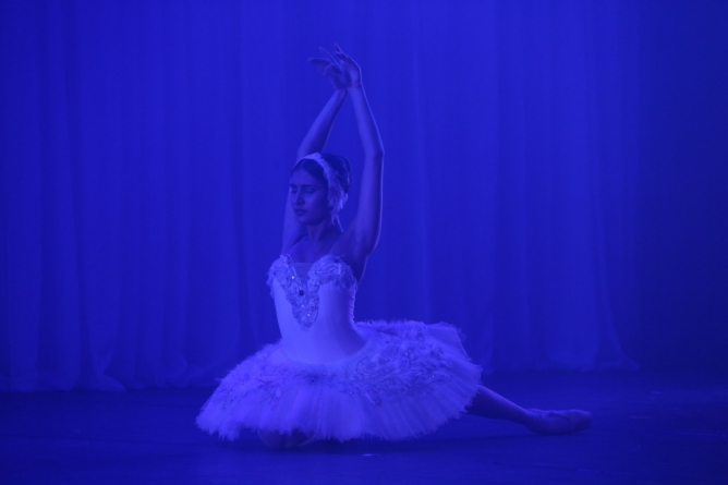 Bolshoi Brasil participa da Feira do Livro com apresentações especiais