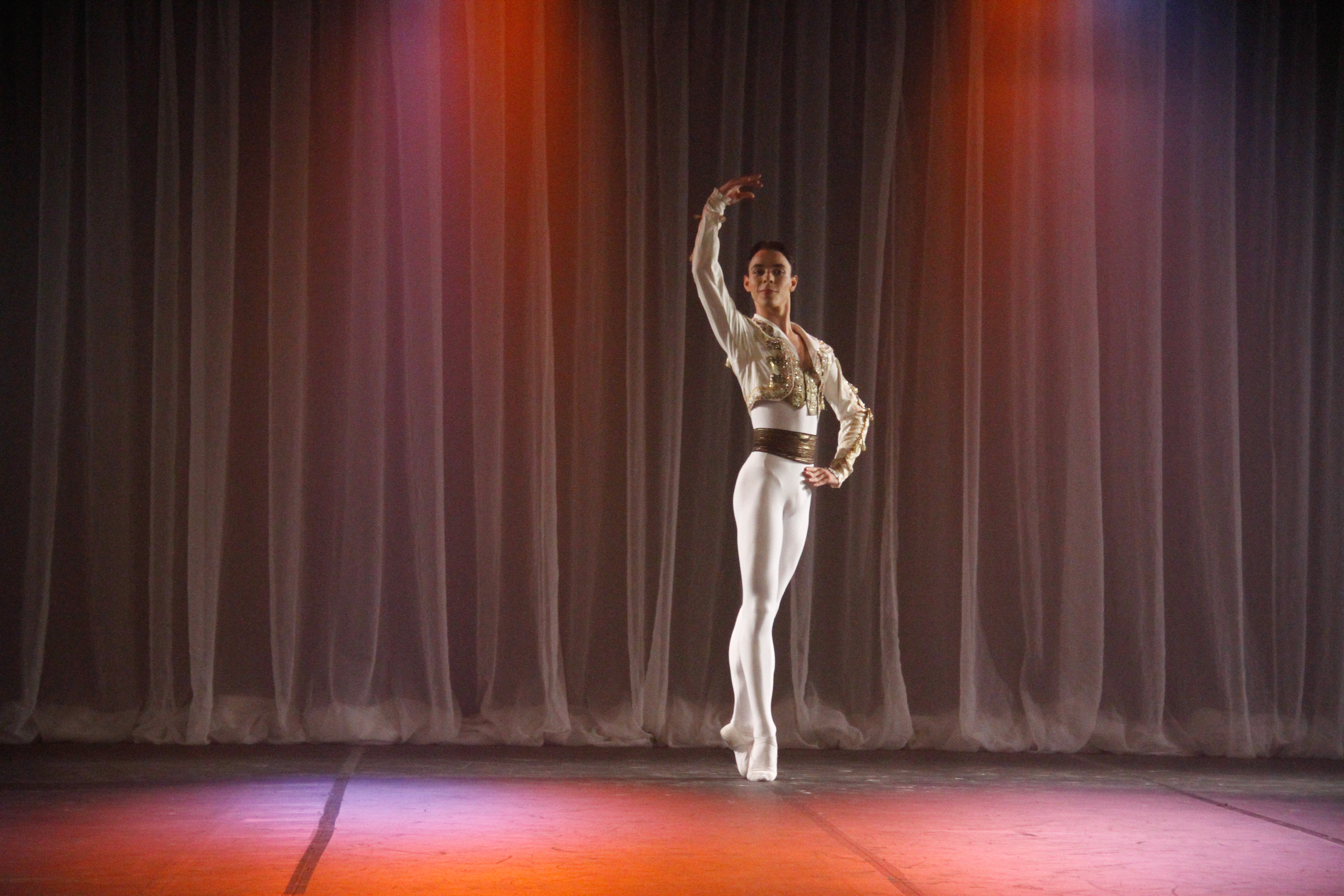 Bolshoi Brasil celebra o Dia da Dança com ações no mês todo