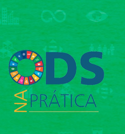 Escola Bolshoi  -  Semana ODS na Prática 