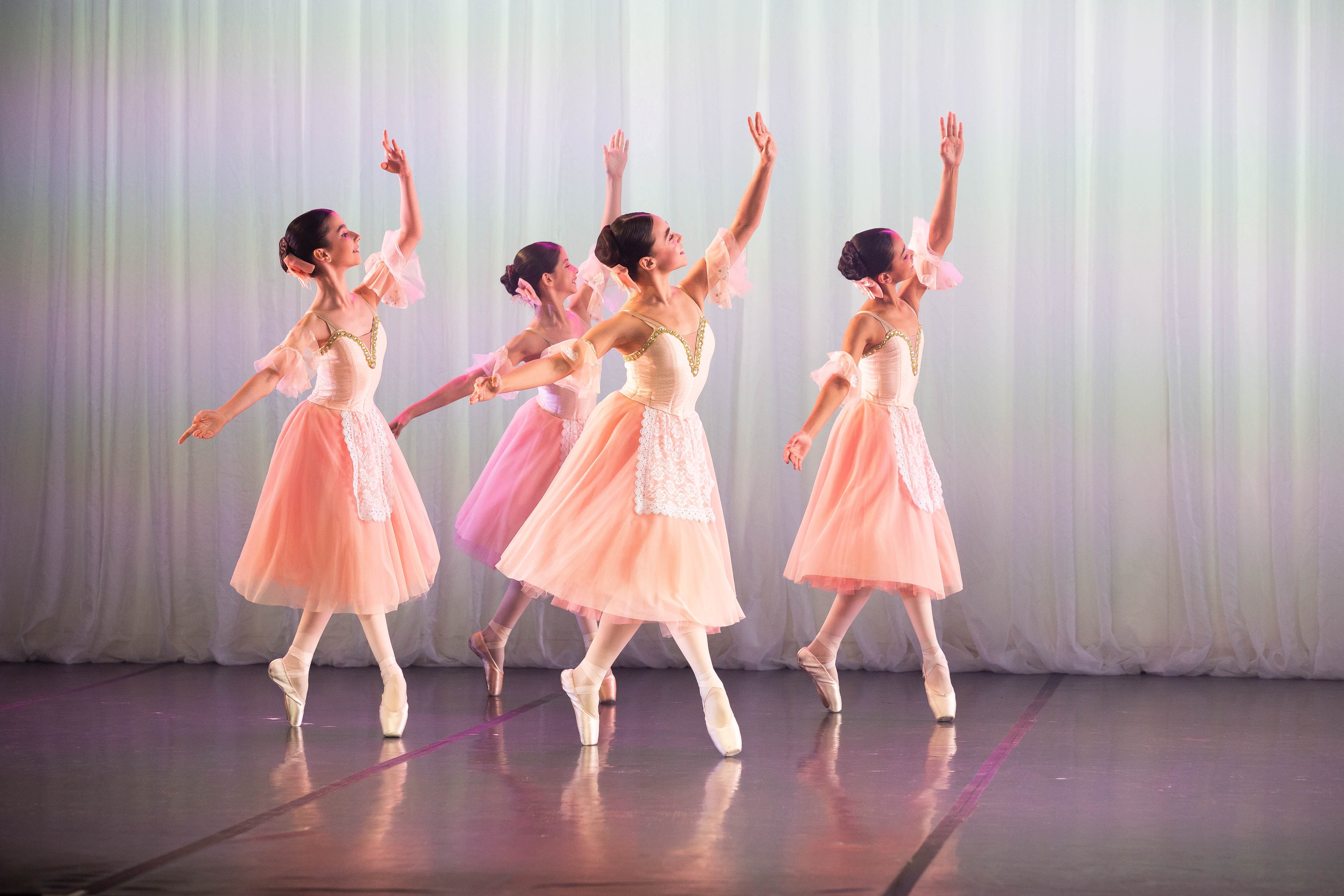 Escola Bolshoi estreia balé em homenagem a cidade de Joinville