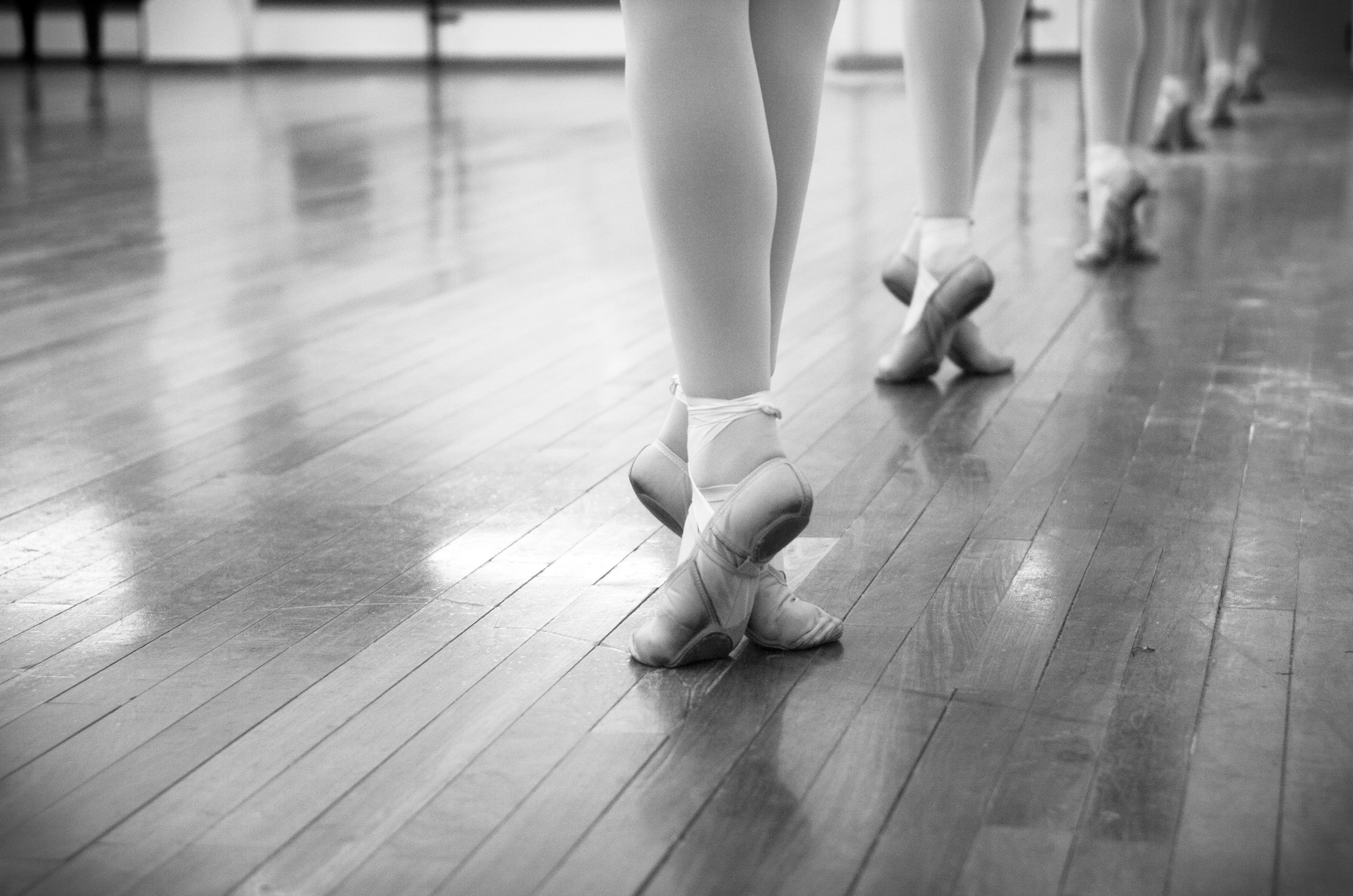 Homenagem ao dia mundial da fotografia 19 de agosto - CLEBER GOMES 